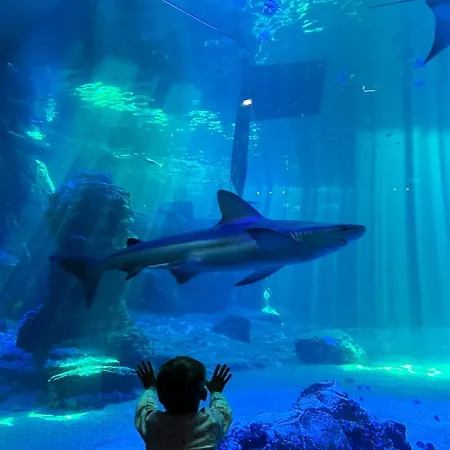 La Parenthese Parking Privatif-terrasse-nausicaa Tatil Evi *