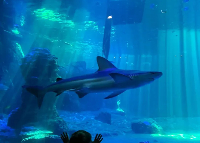 La Parenthese Parking Privatif-terrasse-nausicaa Tatil Evi *